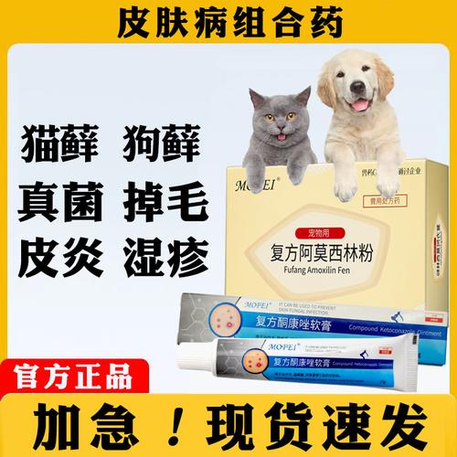 猫咪皮肤病吃什么药好