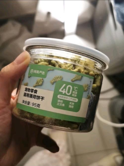 自制小猫咪的零食秘籍，健康美味两不误