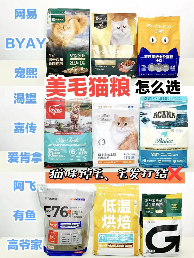 猫咪何时开始适应干猫粮？