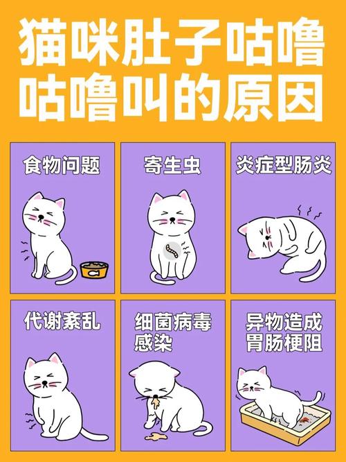 猫咪咕噜咕噜叫的秘密