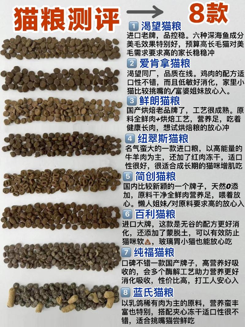 6个月的萌宠如何误食成猫粮