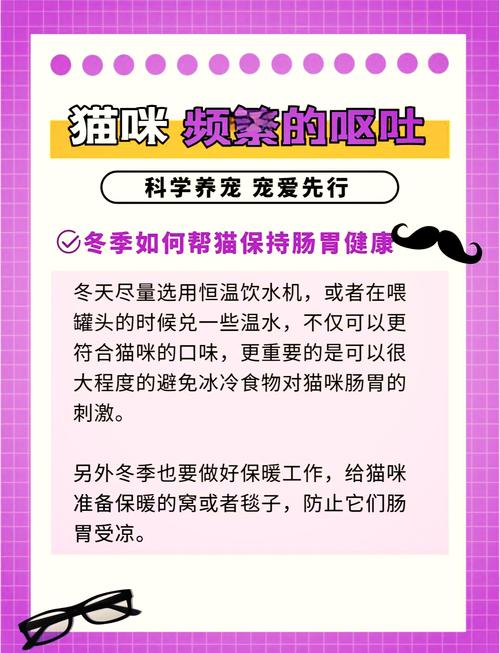 猫咪突然生病，食欲减退、精神不佳与频繁呕吐的综合症状分析