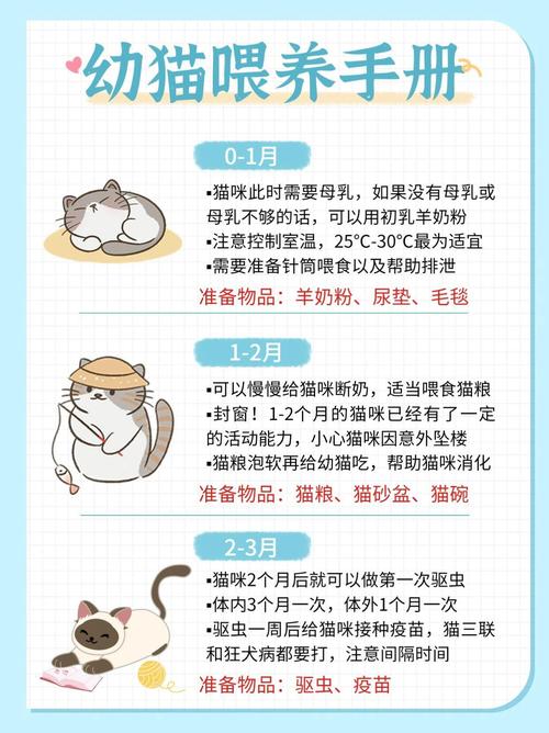 猫咪几个月开始吃猫粮？专家建议与喂养指南