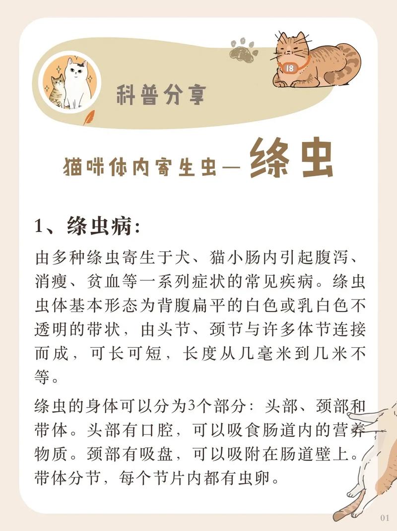 猫咪寄生虫，了解它们可能带来的危害及如何预防