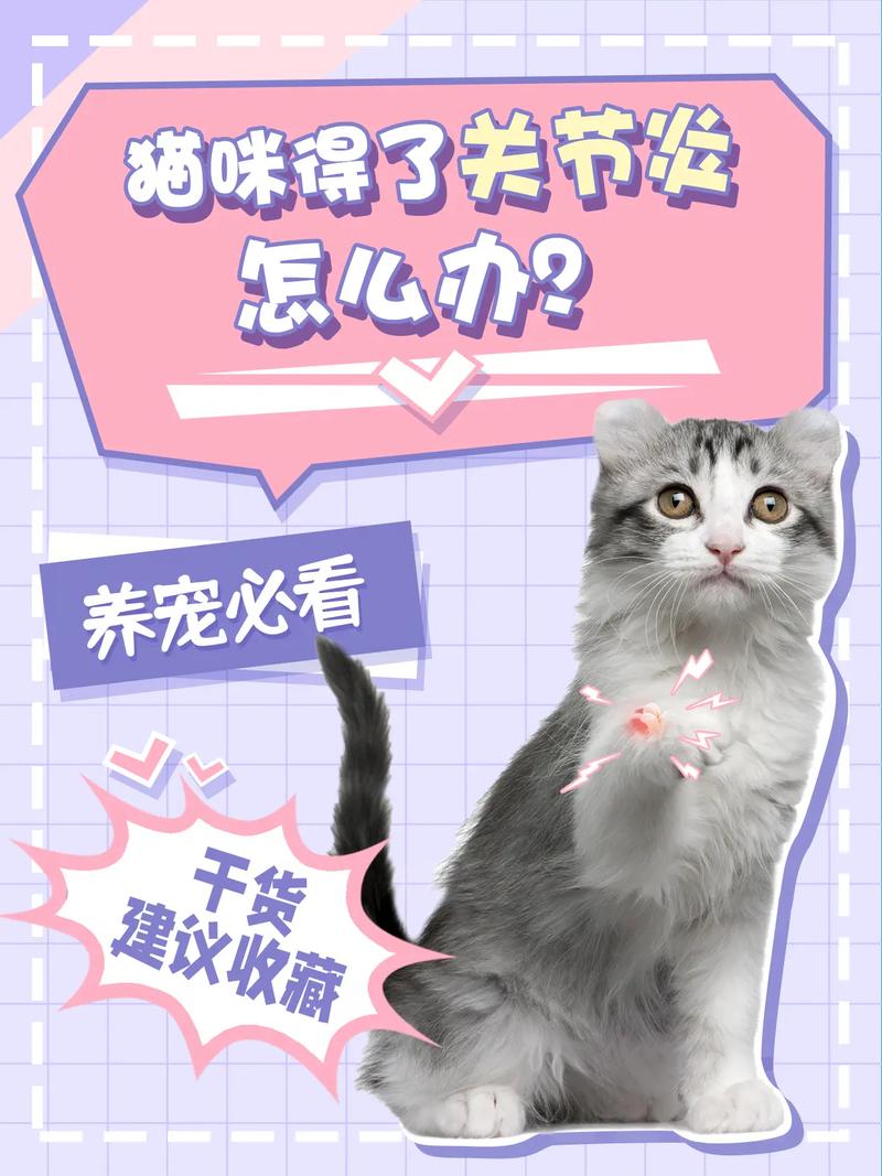 猫友必看！猫咪得了关节炎怎么办？