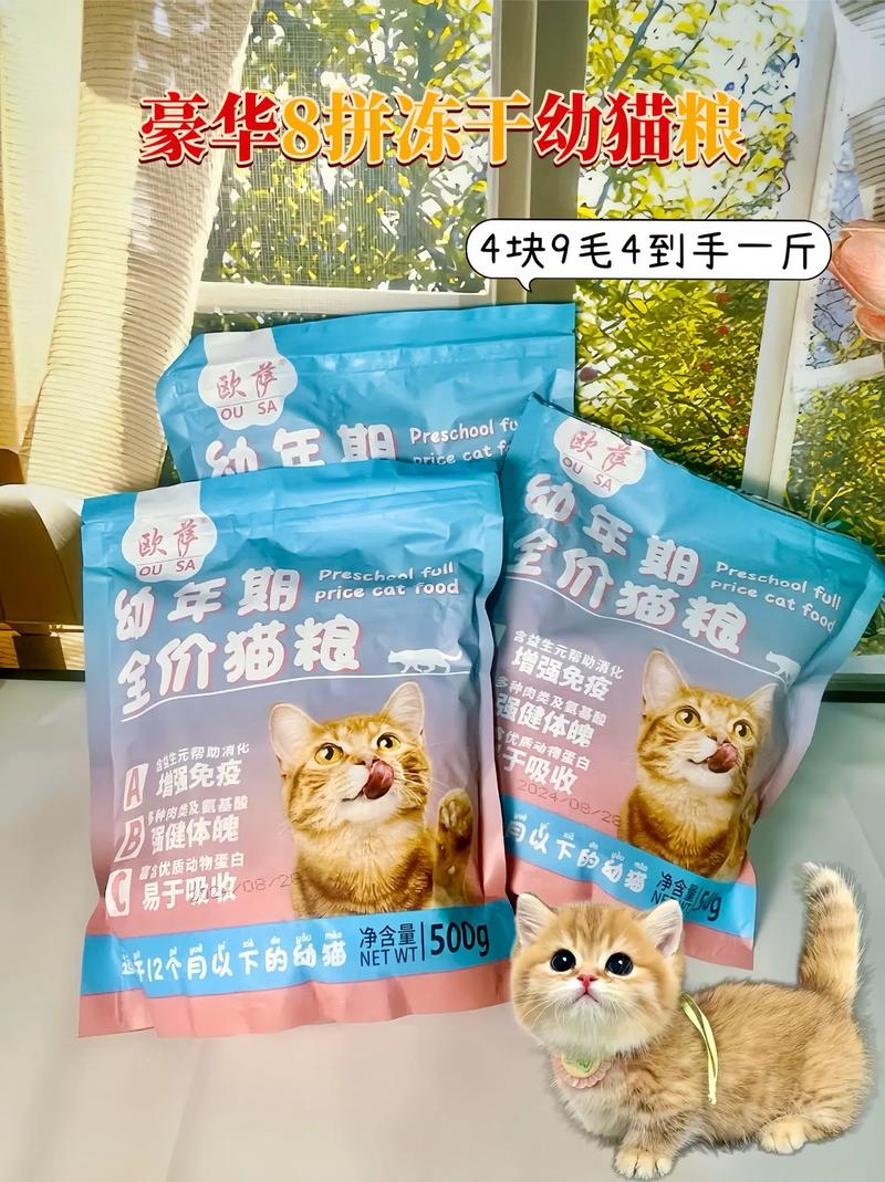 小猫咪能否享受猫粮盛宴