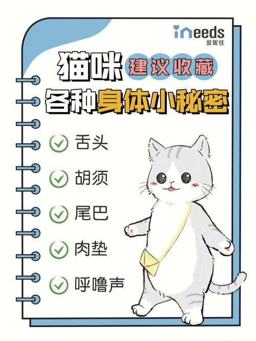 猫咪呼噜声背后的秘密，了解它们的呼吸与健康