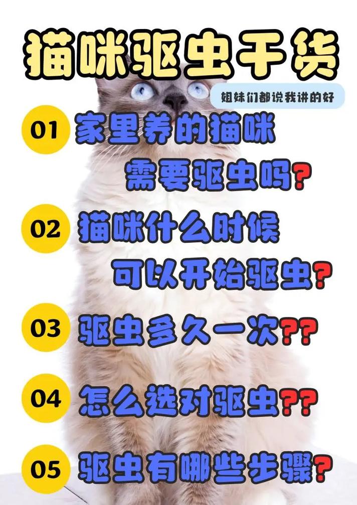 猫咪驱虫一次的价格与关键因素解析