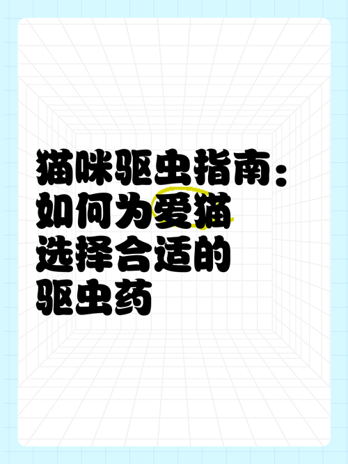 如何为您的小猫选择合适的驱虫时间