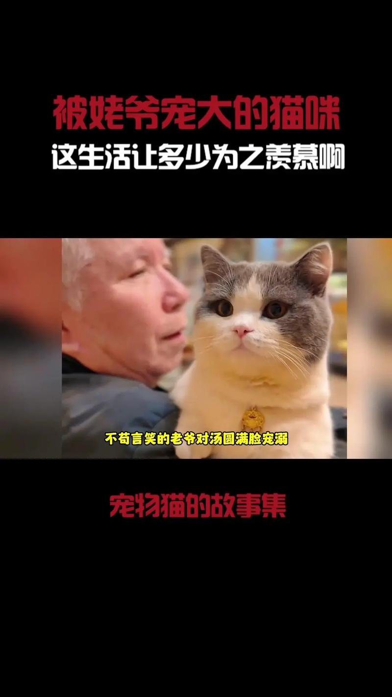 猫咪的不适，拉稀与流泪的背后故事