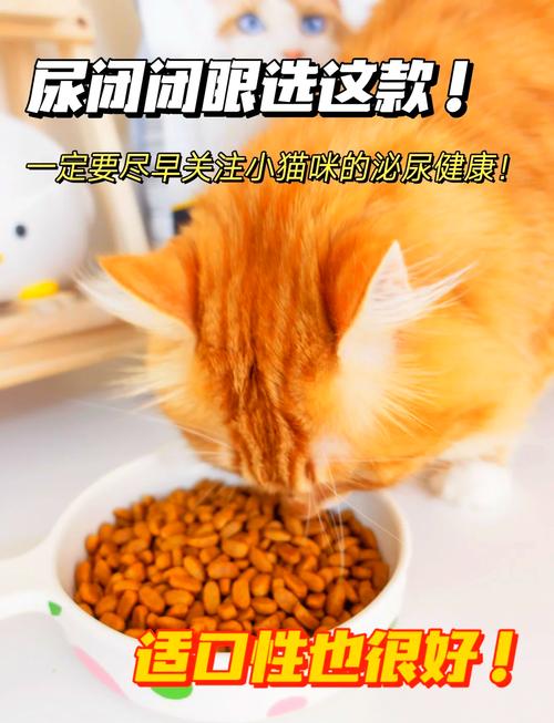 妙招！轻松搞定两只猫咪的共同家园