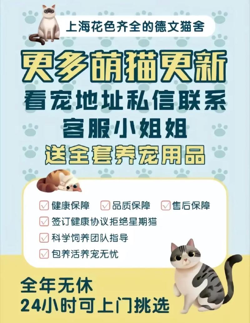 揭秘猫咪的价格，从亲民到高价，猫咪的魅力何在？