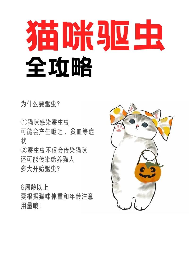 猫咪天然驱虫秘籍