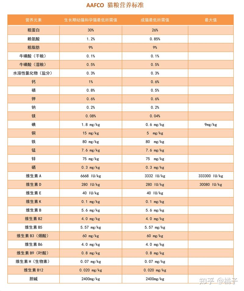 四个月大猫咪每日所需猫粮量解析