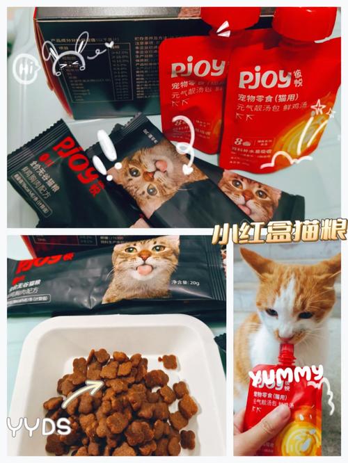 猫咪的美食探索，从纸片到照片