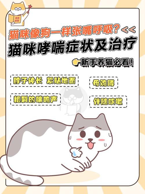 猫咪咳嗽流涕？警惕可能的健康危机