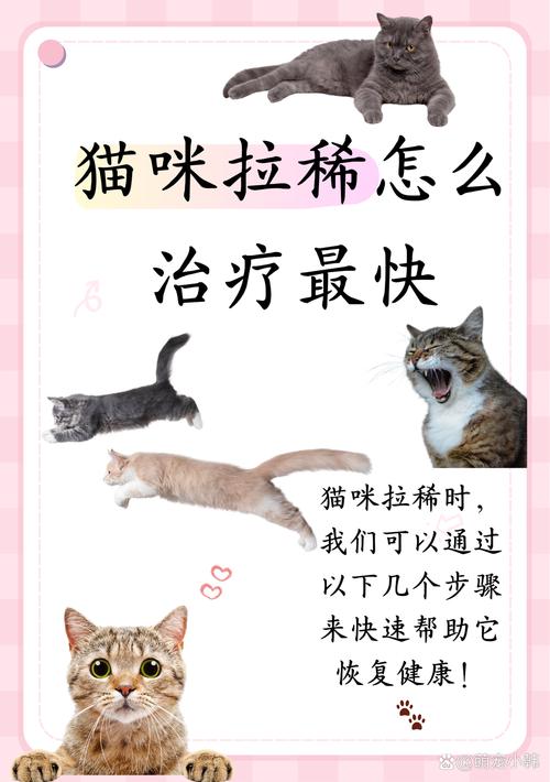 猫咪着凉后的拉稀问题，如何妥善处理