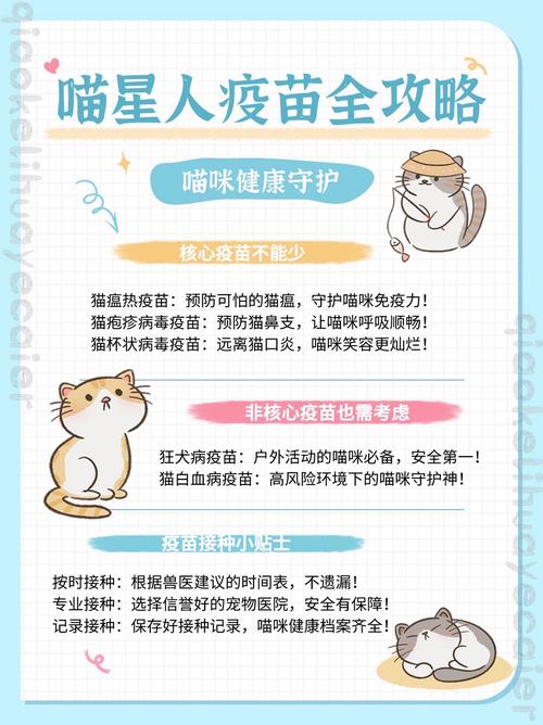 猫咪育苗针，呵护新生的秘密武器