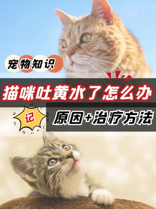 揭秘猫咪恶心呕吐背后的健康危机