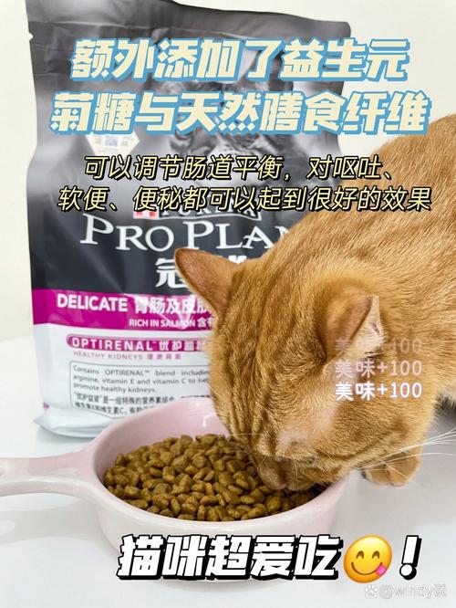 猫咪打虫后，为何会呕吐？