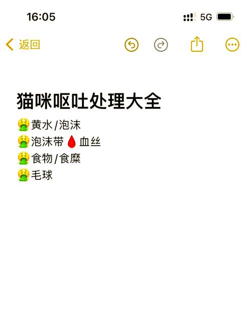 猫咪摔伤后呕吐，如何快速诊断与护理