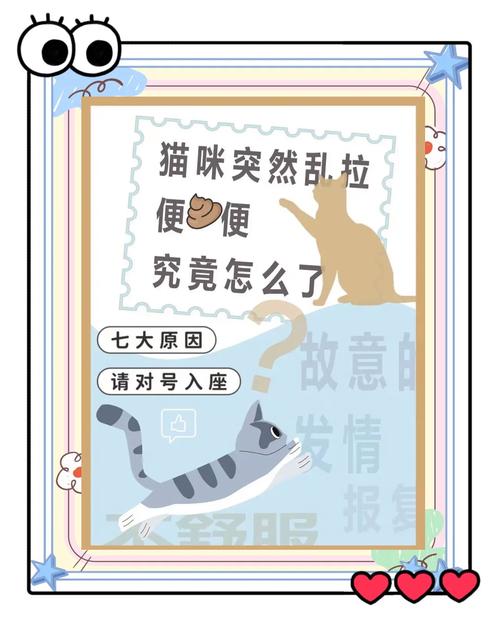 揭秘猫咪乱拉屎与拉稀的常见原因及解决方法