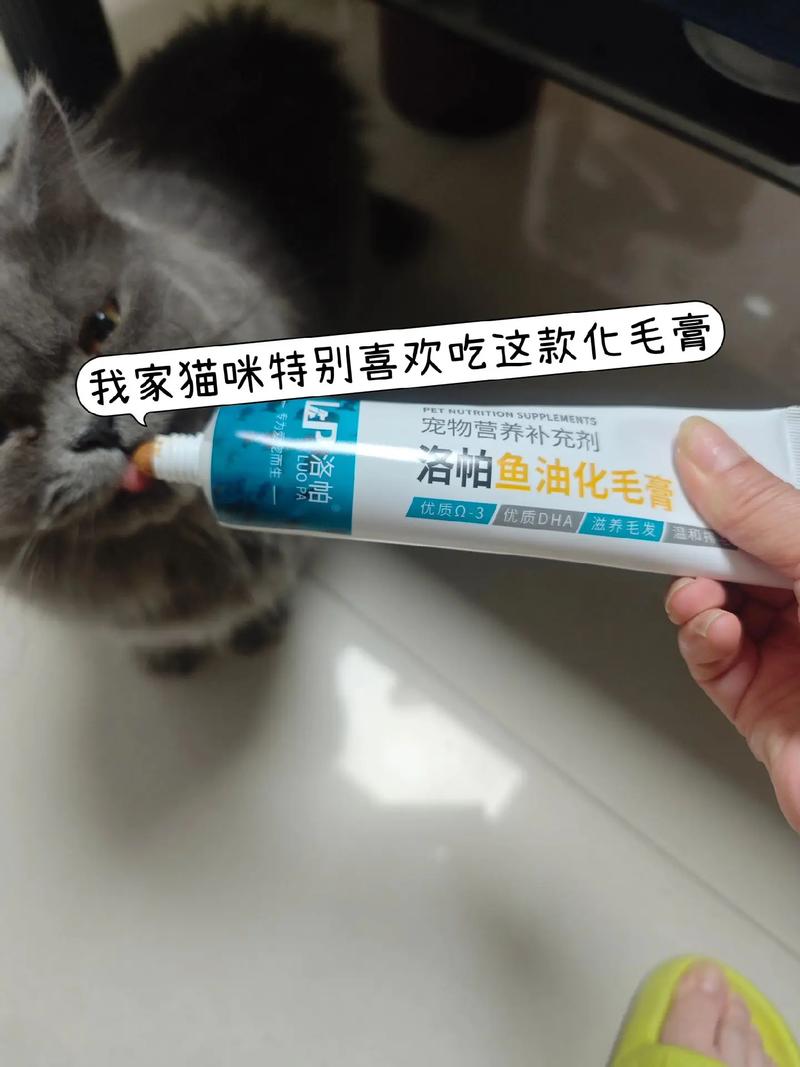 揭秘猫咪营养膏的奥秘，为毛孩子打造专属营养盛宴