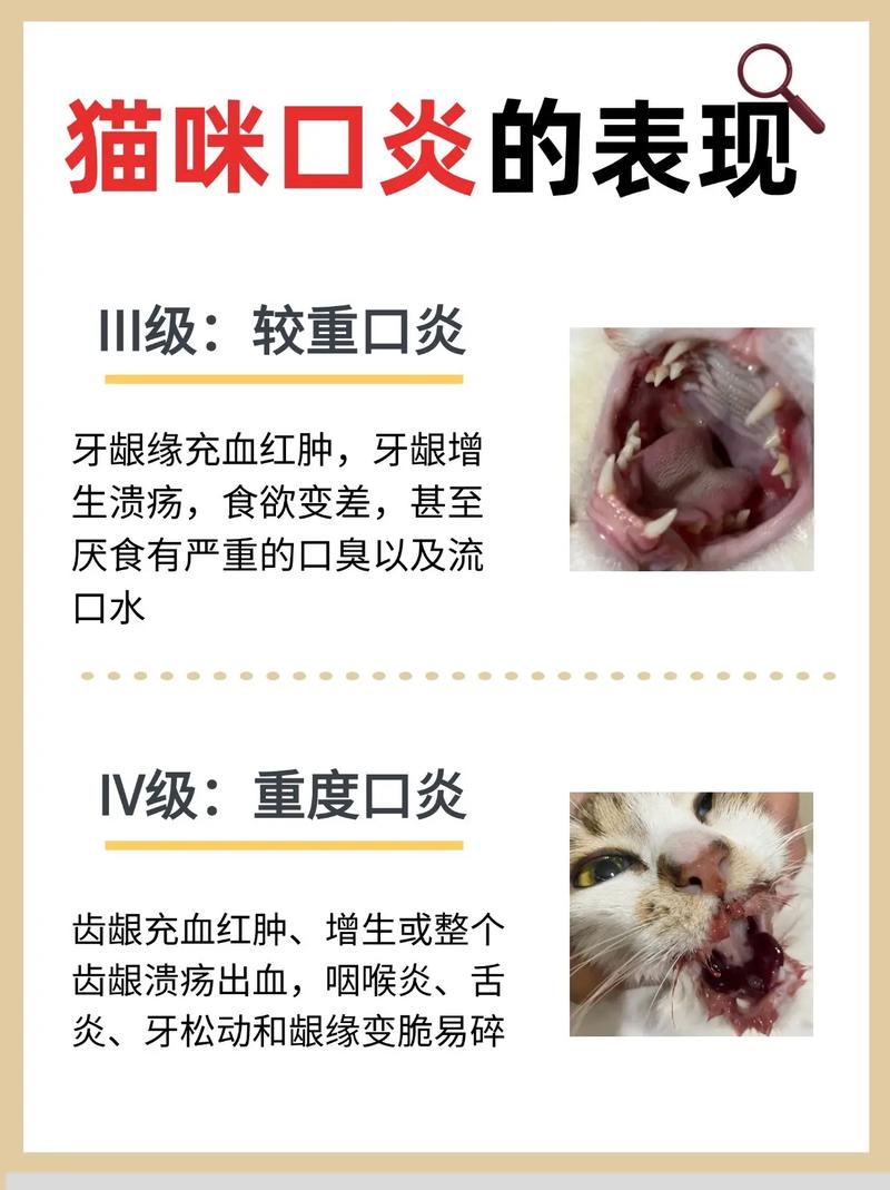 温柔的呼唤，猫咪咽喉炎的症状与护理