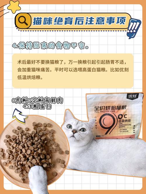 猫咪绝育后用药