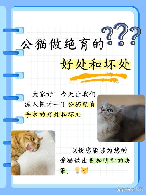 猫咪做不做绝育？揭秘宠物绝育的好处