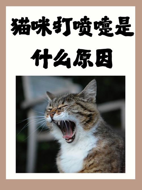 猫咪打喷嚏？感冒的信号不容忽视