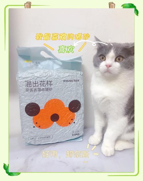 猫咪的健康守护者——百多邦