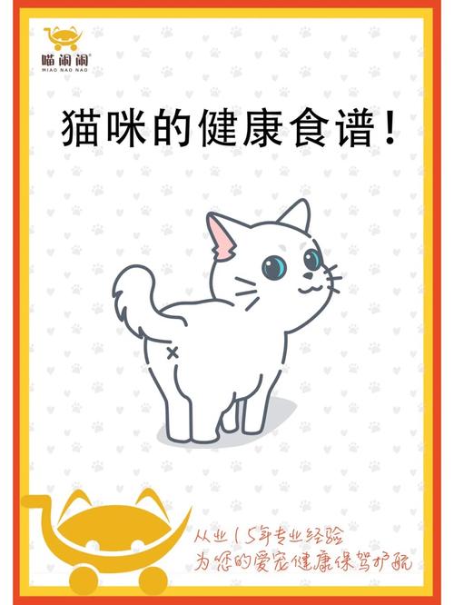 猫咪的营养食谱，打造健康快乐小猫