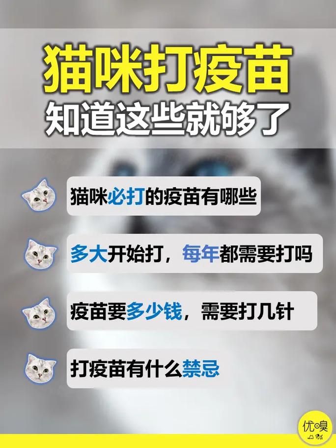 猫咪疫苗，了解猫咪接种的重要免疫计划