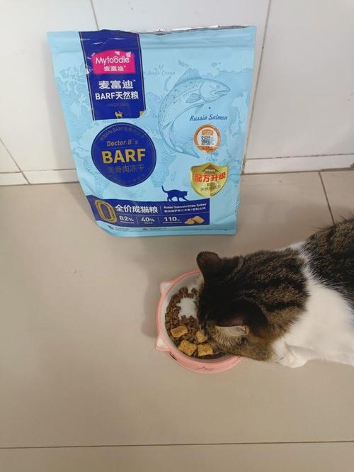 猫咪的食不下咽，探究原因与解决之道