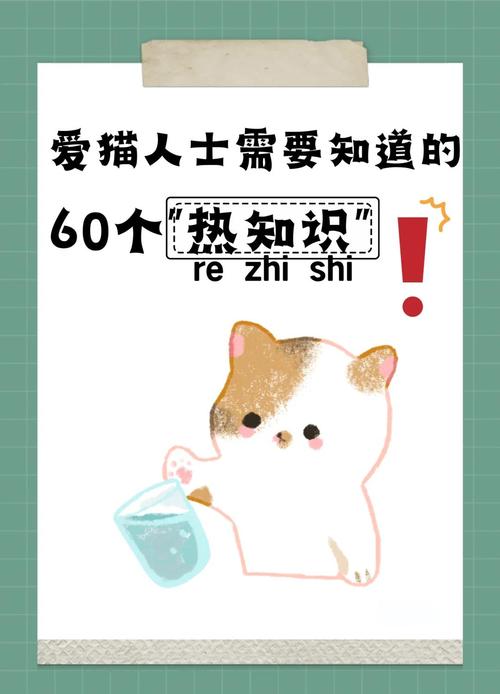 猫咪的坚韧之毛——解析猫咪折断胡须背后的智慧与秘密