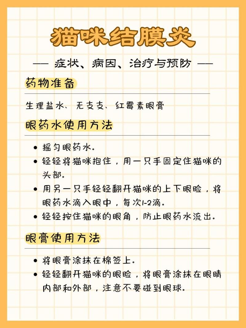 猫咪眼睛突然发炎，识别症状和护理方法