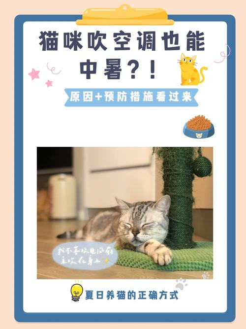 猫咪冬季也能享受温暖？揭秘猫咪如何适应空调环境