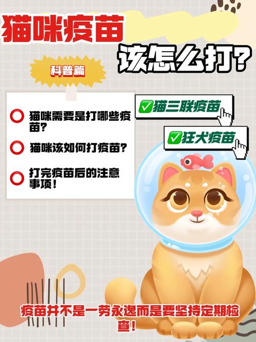 猫咪打了疫苗依然可能咬人？了解背后的风险与预防