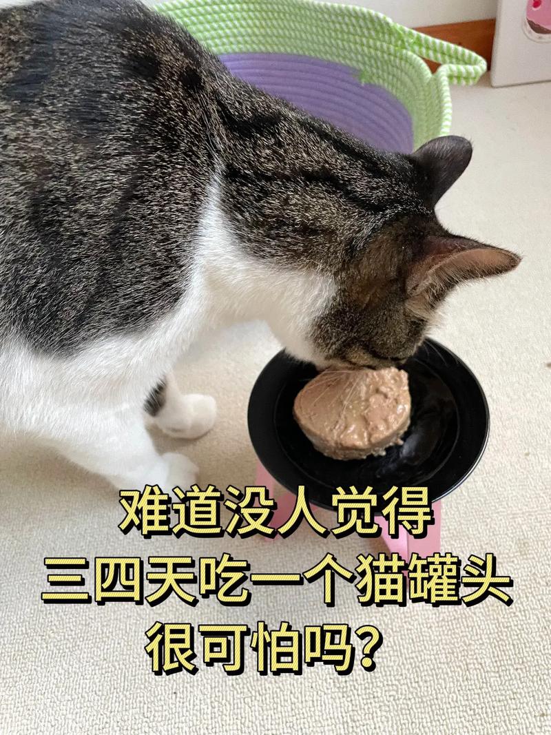 猫咪真的不适应吃罐头吗？