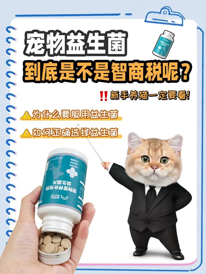 猫咪吃了益生菌却拉稀？揭秘益生菌对猫咪的可能影响