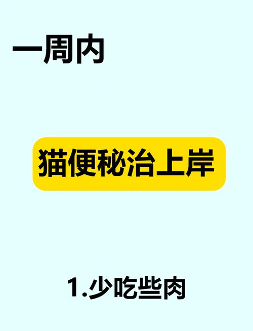 轻松识别猫咪便秘，五大关键症状与应对指南