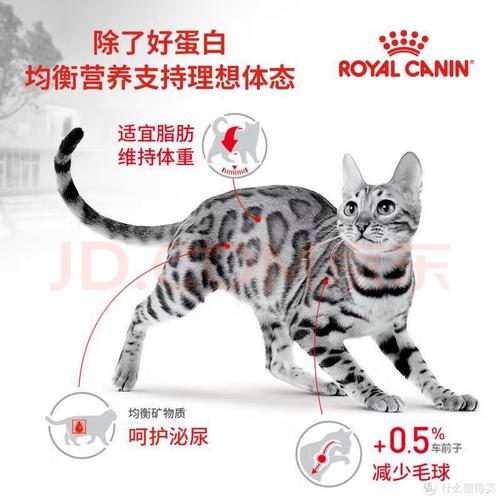 揭秘进口天然猫粮——为爱宠打造健康生活的秘籍