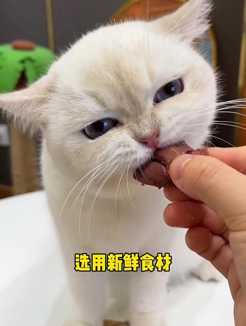 猫咪食用鸡肝后出现拉稀现象的解析与应对