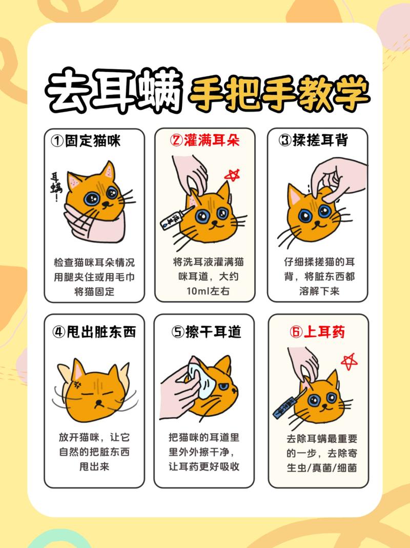 揭秘猫咪耳朵螨虫问题，常见症状与防治措施