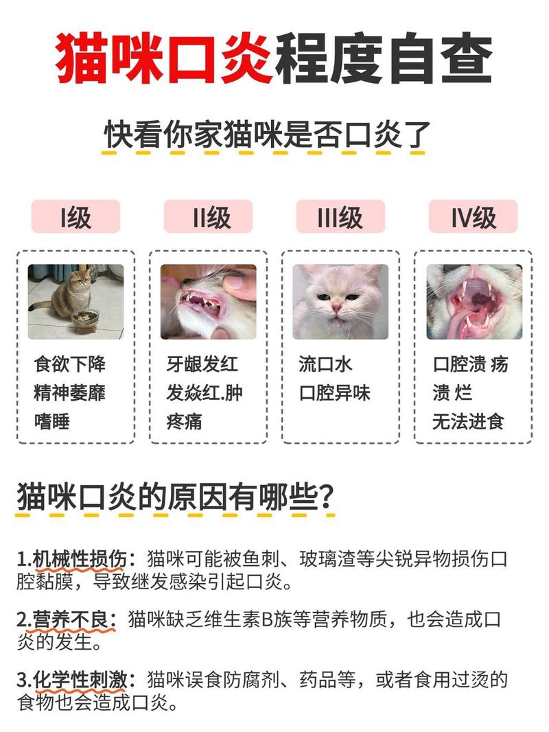 如何应对猫咪口臭与牙龈红肿