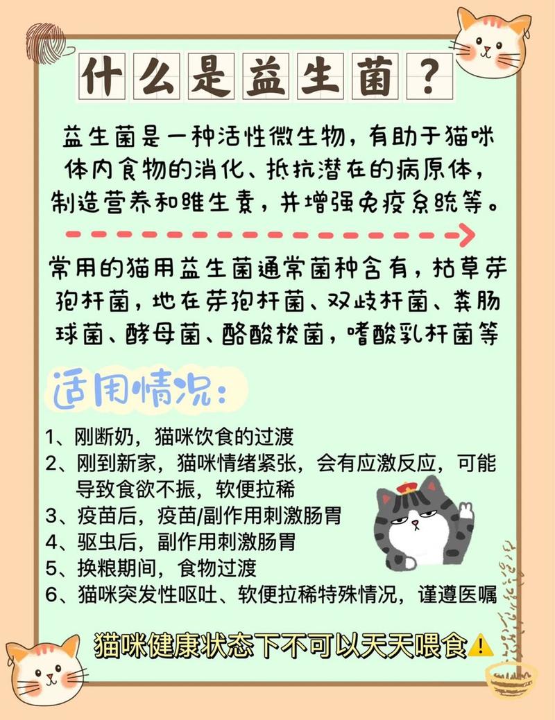 猫咪服用益生菌的潜在副作用与注意事项