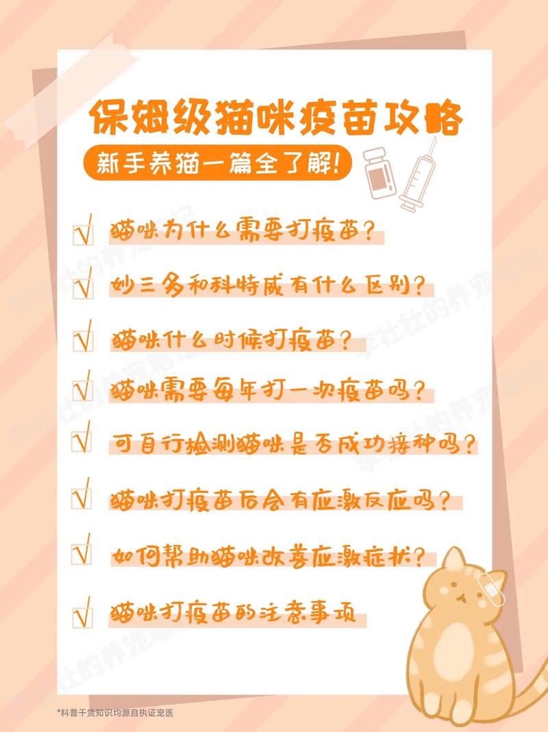 猫咪接种疫苗，守护毛孩子健康成长的必要步骤