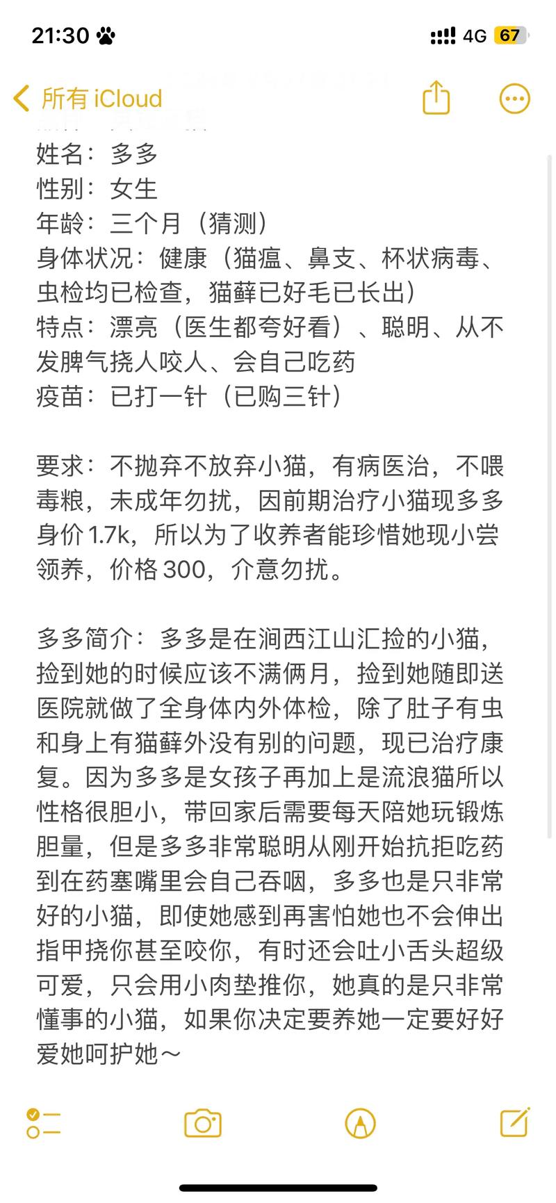 长沙温馨家园，寻找爱的归宿，领养猫咪正当时