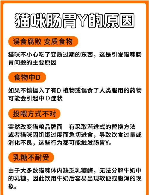 猫咪食欲不佳，了解原因与应对策略